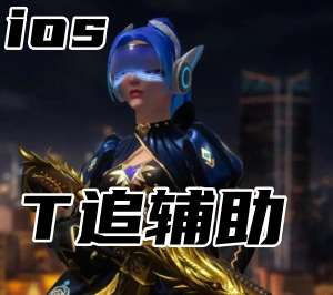 三角洲行动T追辅助（官匹平台超稳防封）