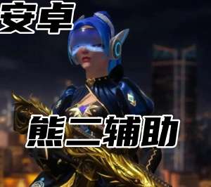 三角洲行动熊二辅助（直装）